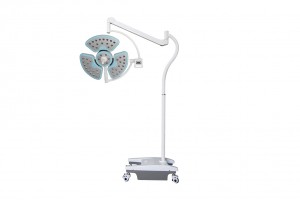 LED720/520 Double Heads Surgery LED OT Light