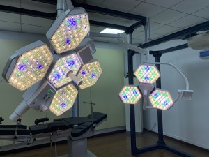 CE ISO FDA approved Beautiful Double dome led curing light surgical room lights on Ceiling